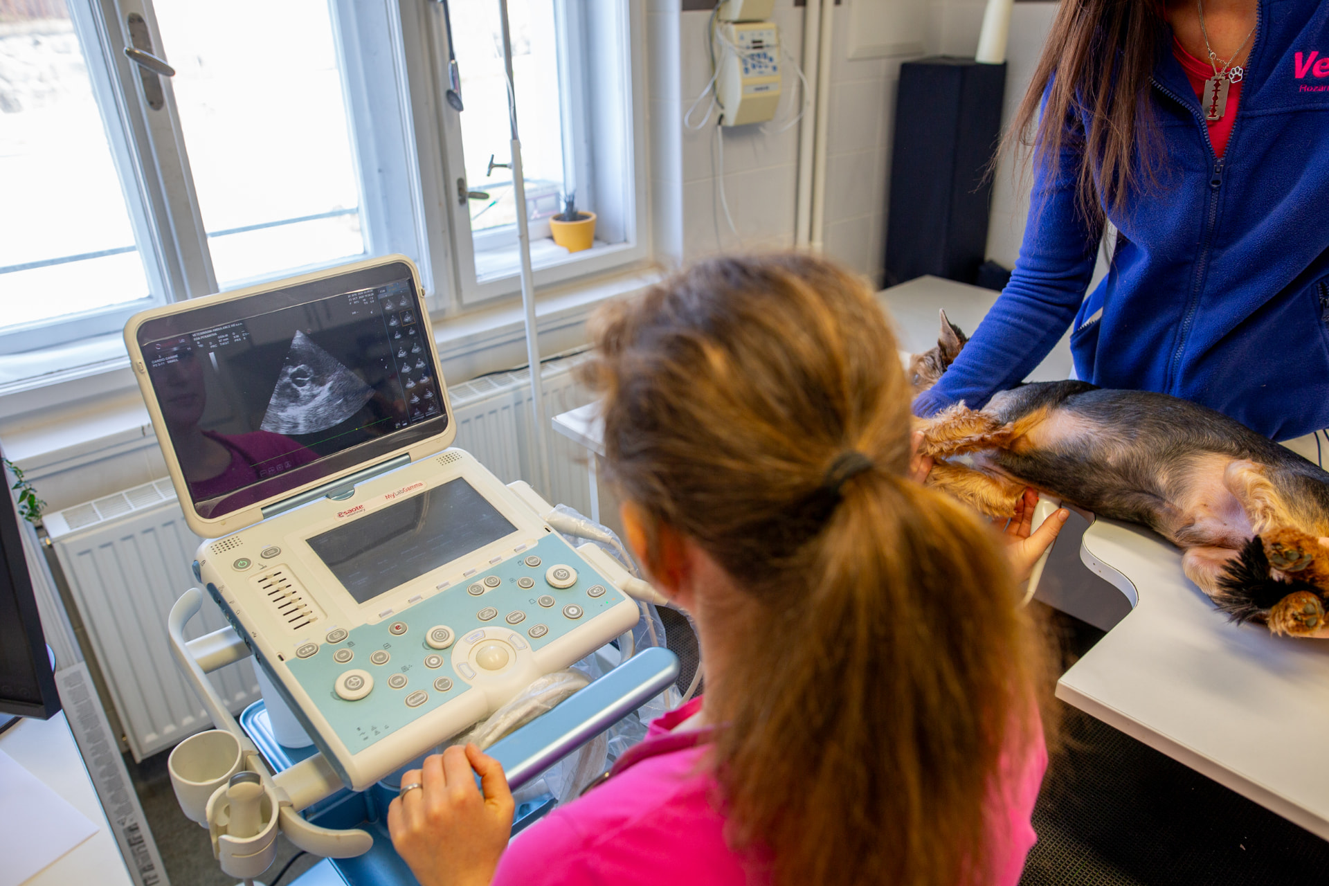 Kardiologie